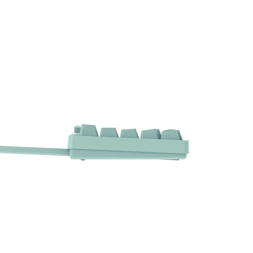north base sleek mint